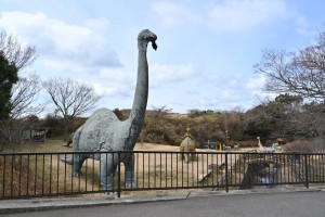 森林公園