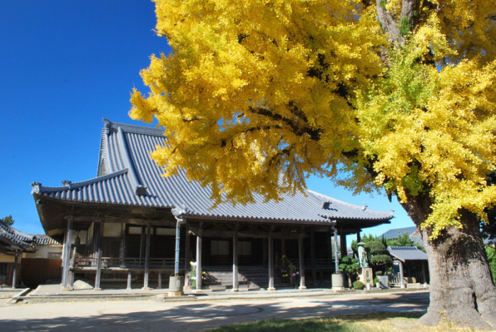 寺内町_日高別院