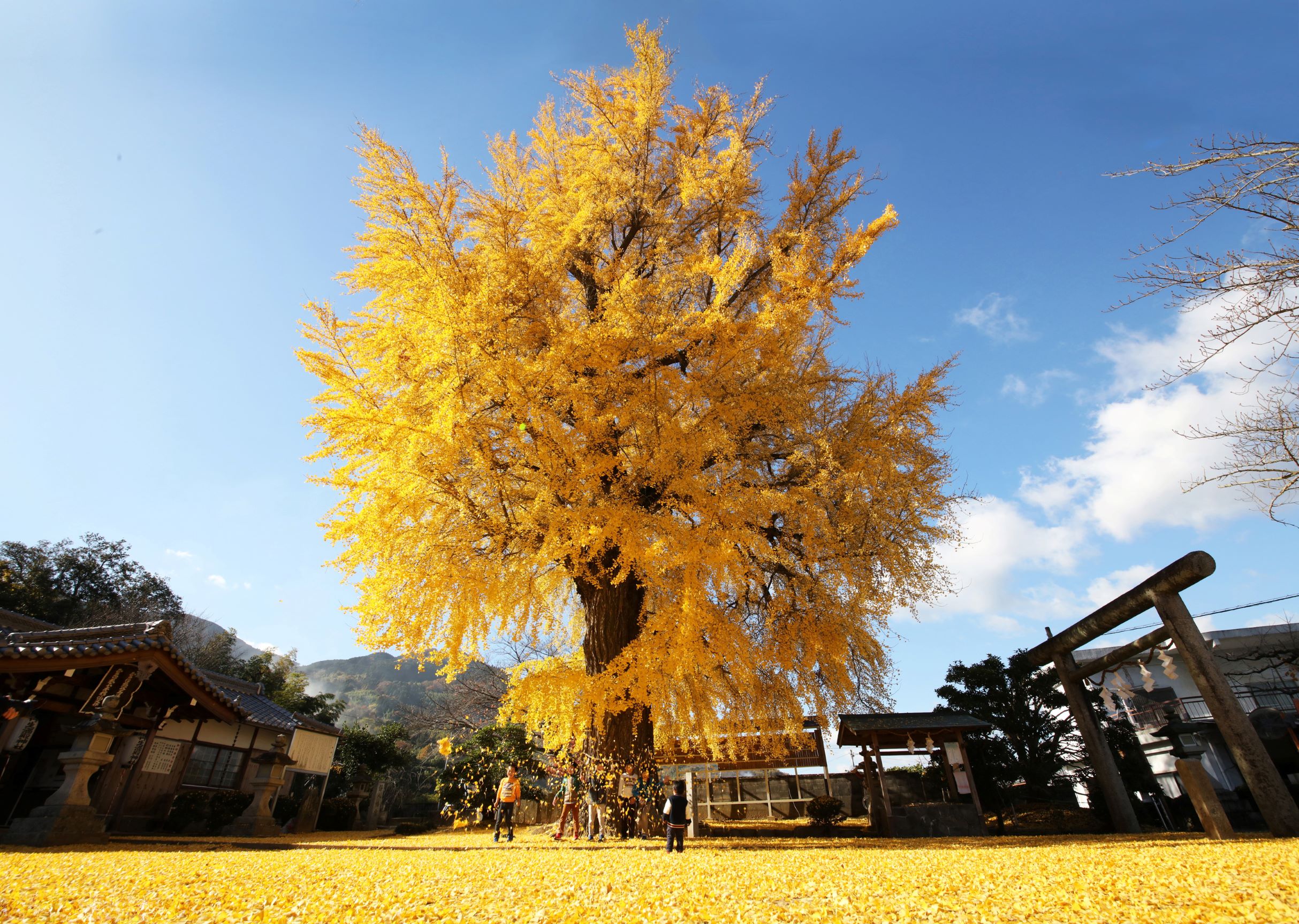 丹生酒殿神社
