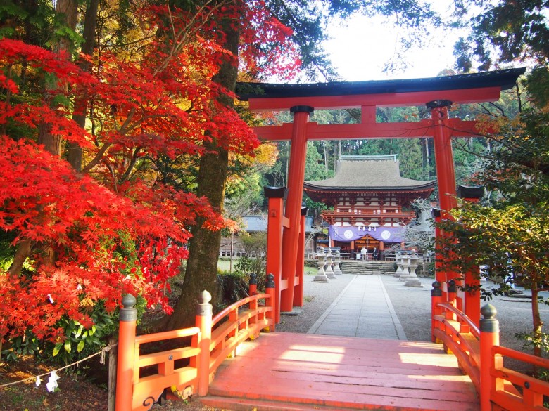 丹生都比売神社