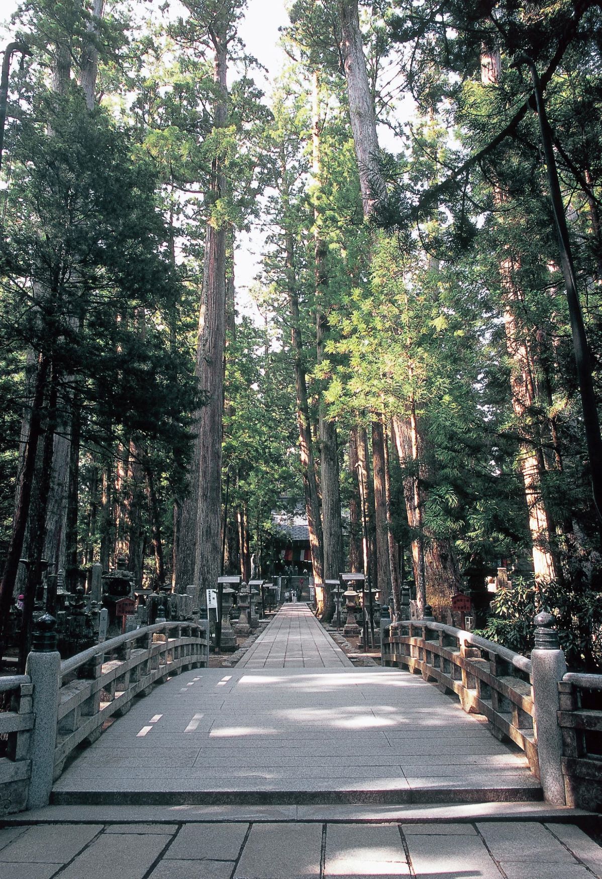 奥の院参道