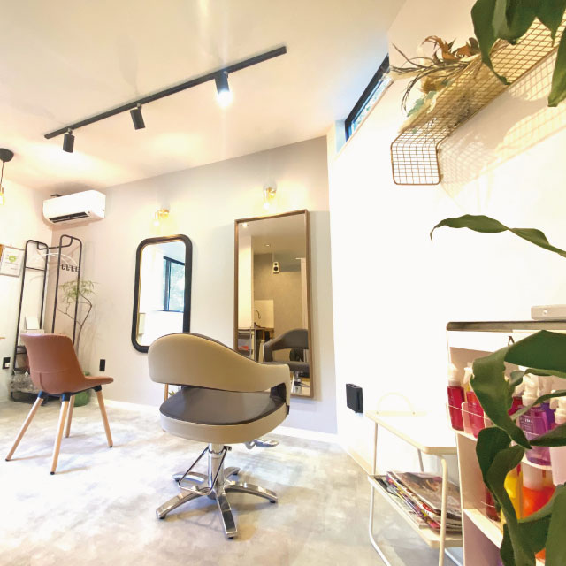 hair design MARIN