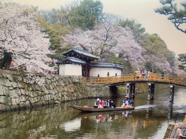 和歌山城