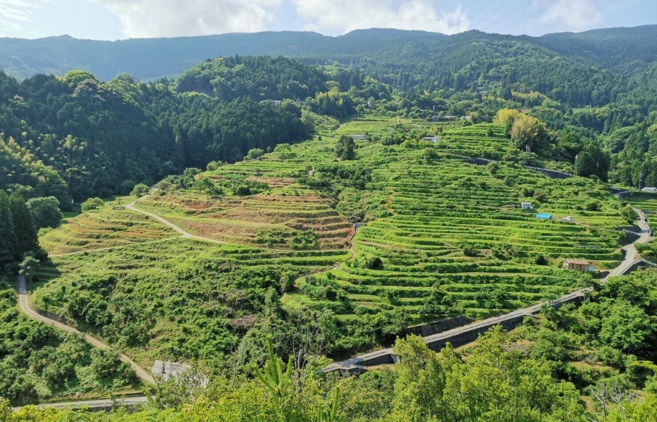 中田の棚田