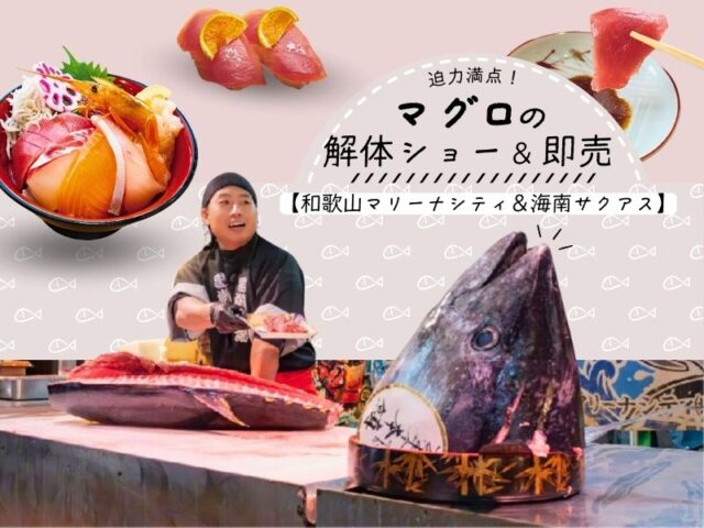 迫力満点!マグロの解体ショー&即売【和歌山マリーナシティ&海南サクアス】