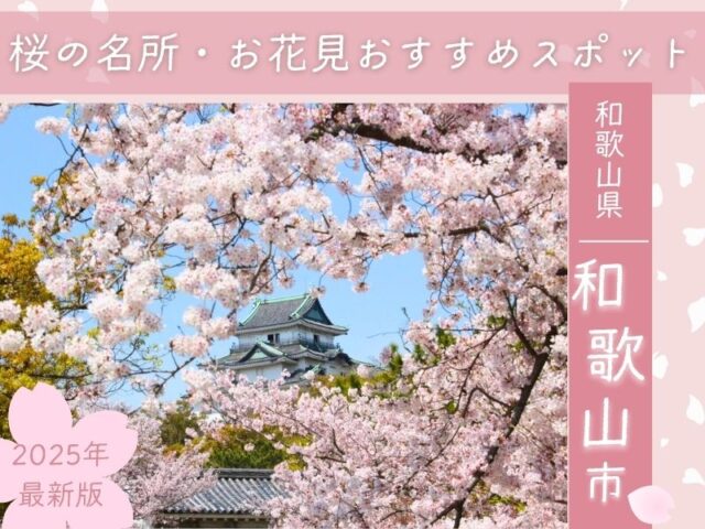 桜の名所・お花見おすすめスポット2025年最新版