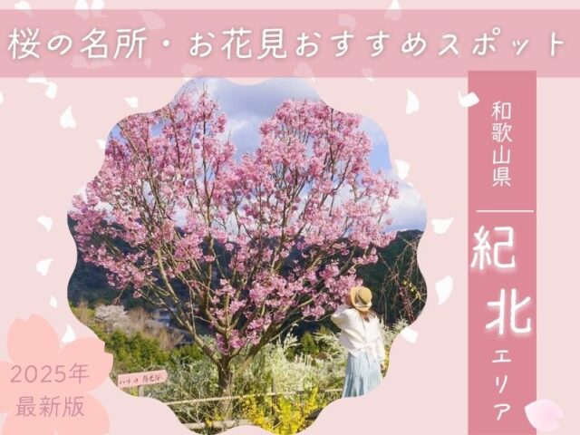 【紀北エリア】桜の名所・お花見おすすめスポット2025年最新版