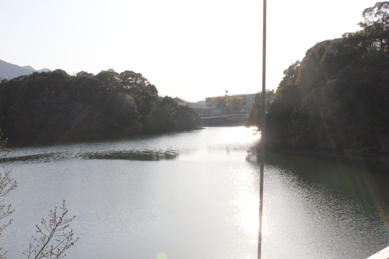 亀池公園